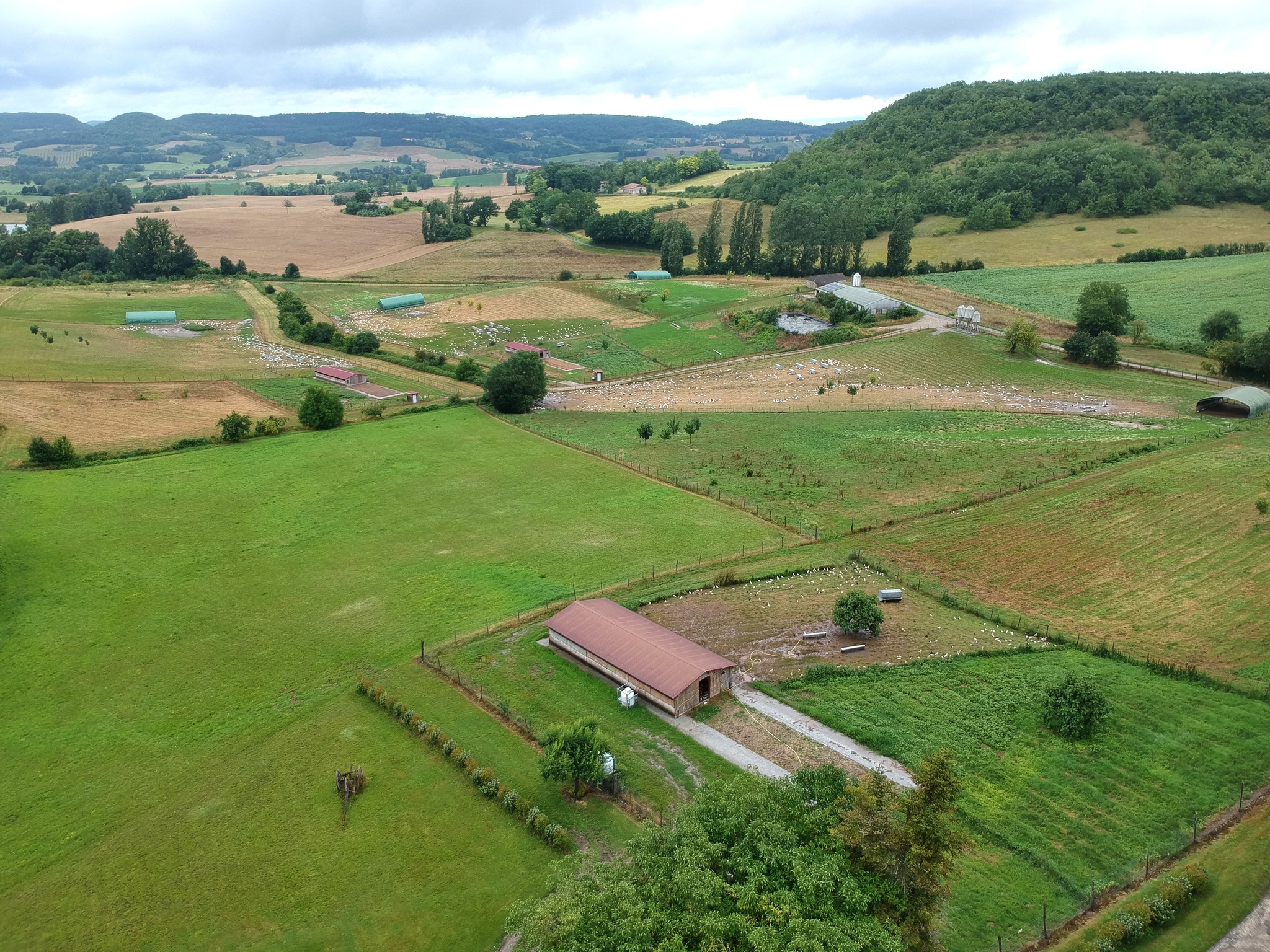Gavage Penne-d’Agenais 